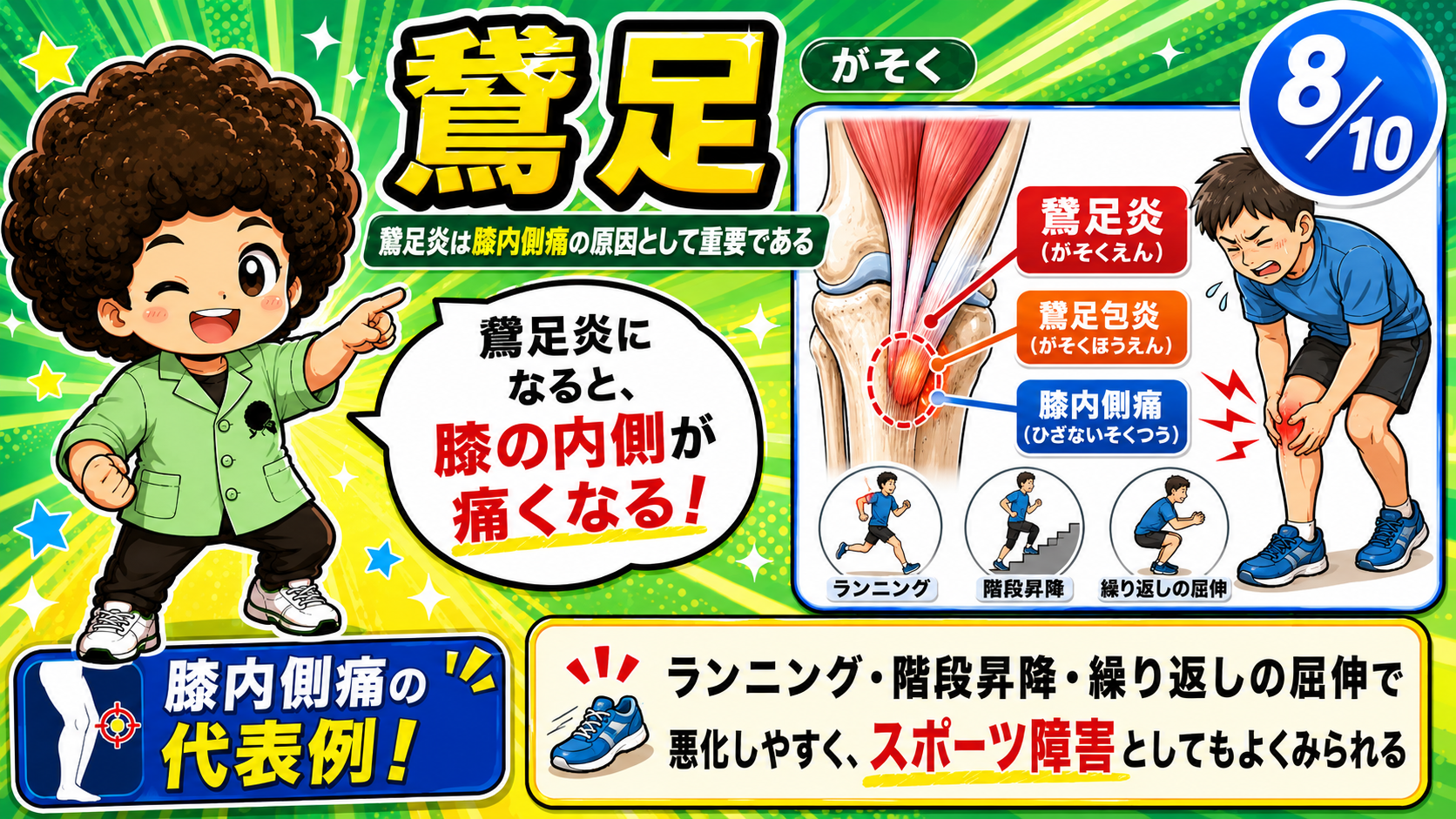 鵞足炎により膝内側が痛む様子を示した図