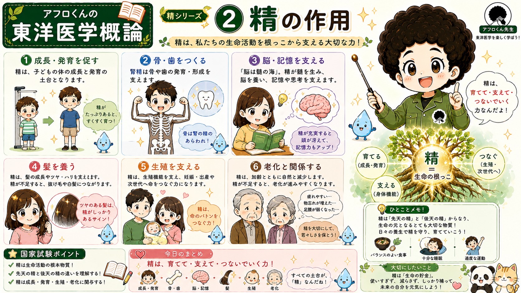 精の作用──成長・発育、骨・歯、脳・記憶、髪、生殖、老化の6つのはたらき