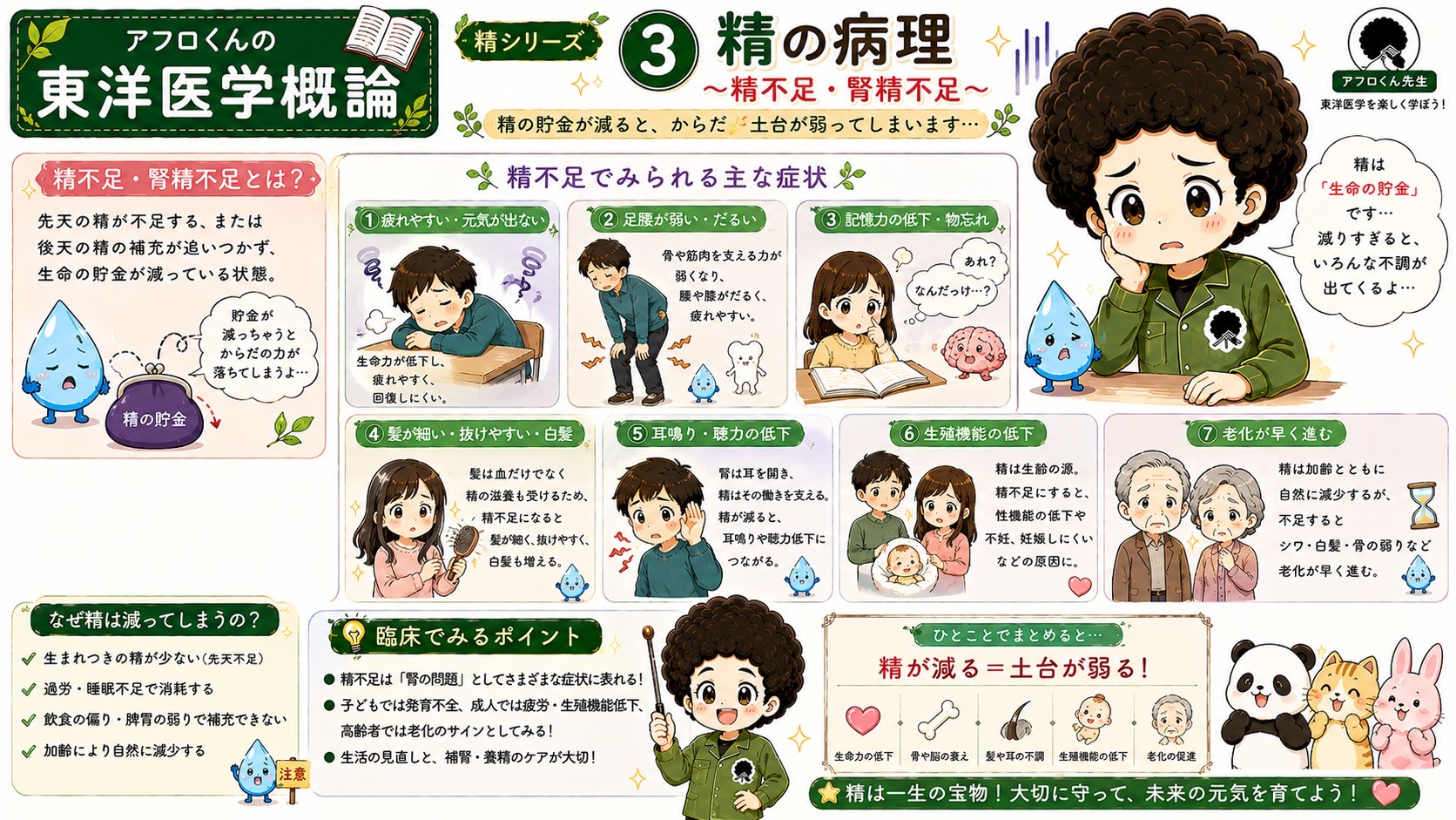 精の病理──精不足・腎精不足の原因と主な症状