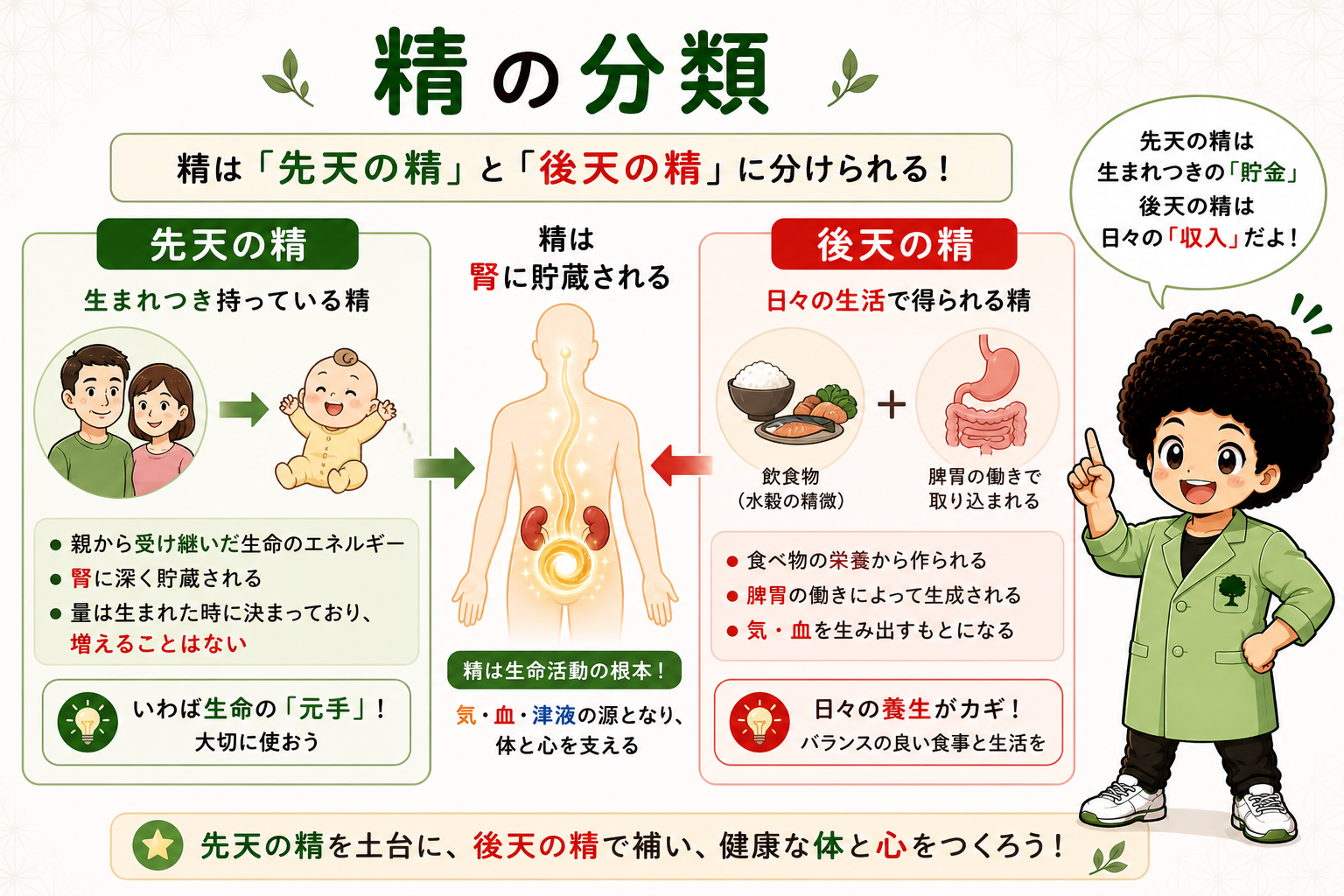 精とは？生命力の根本・腎に貯蔵・気血の源。精は「貯金」