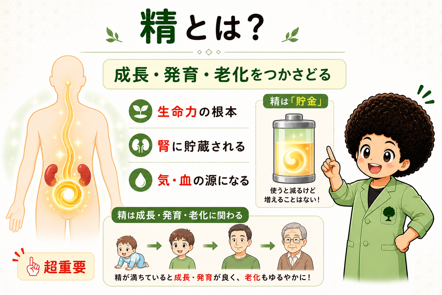 精の分類：先天の精（貯金）と後天の精（収入）、精は腎に貯蔵される