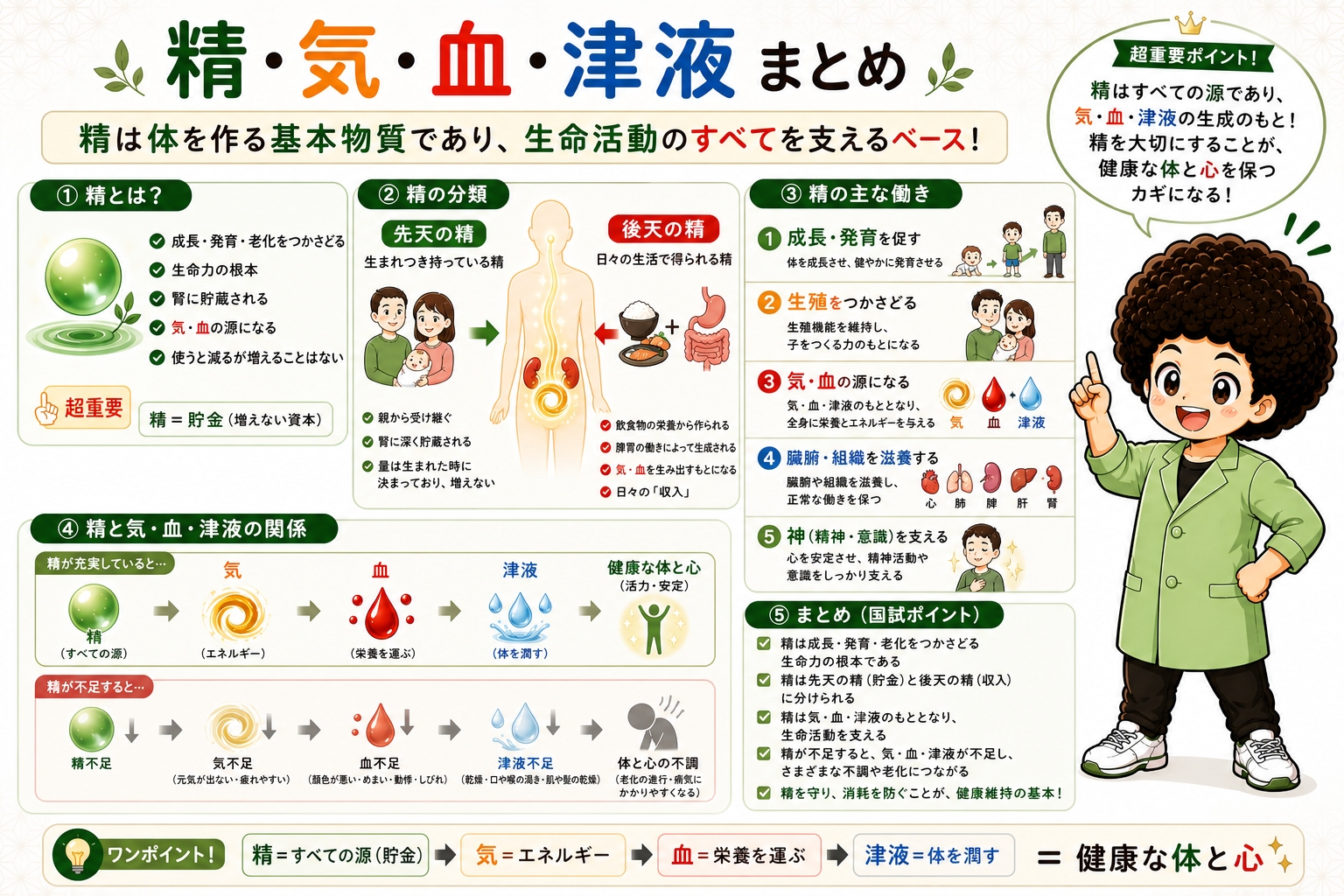 精と気・血の関係：精の充実／不足で気・血・津液の生成が変わる