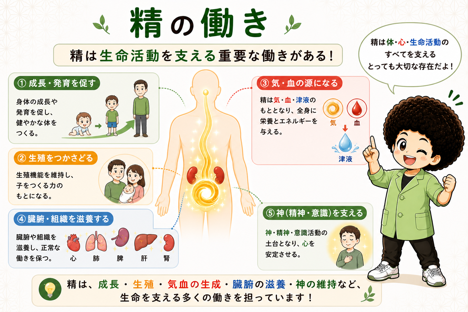 精・気・血・津液まとめ：精はすべての源であり気・血・津液の生成のもと