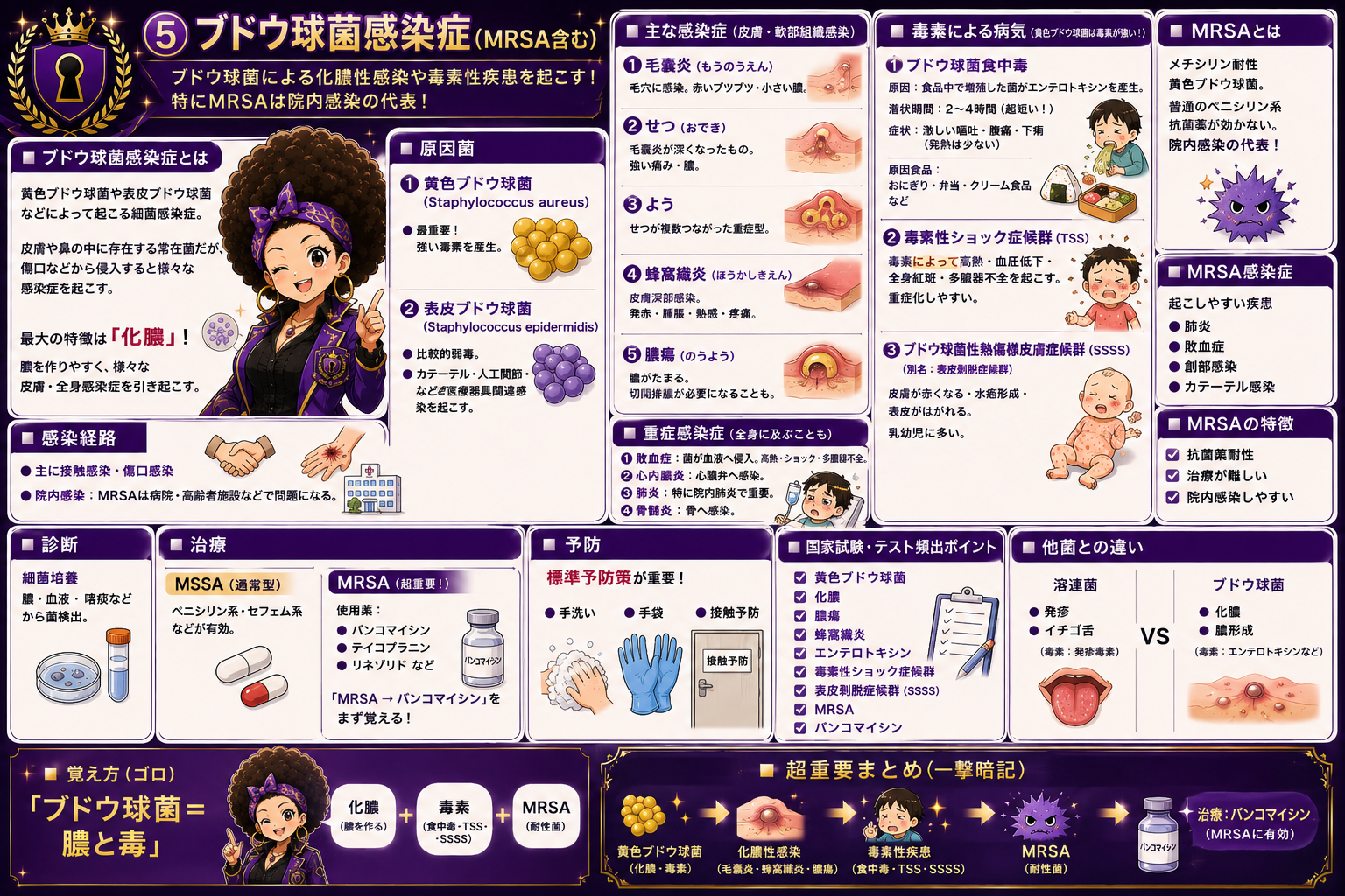 ブドウ球菌感染症：化膿性感染・毒素性疾患・MRSA