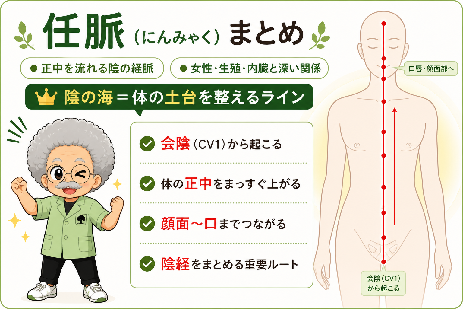 任脈｜任脈 1