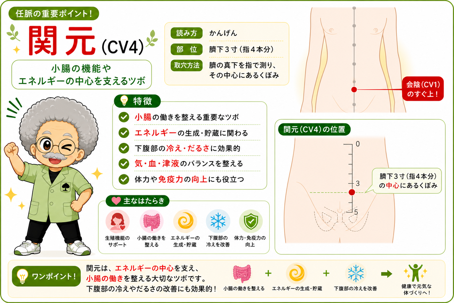 関元（CV4）＝臍下3寸（指4本分）。小腸の募穴でエネルギーの中心を支える