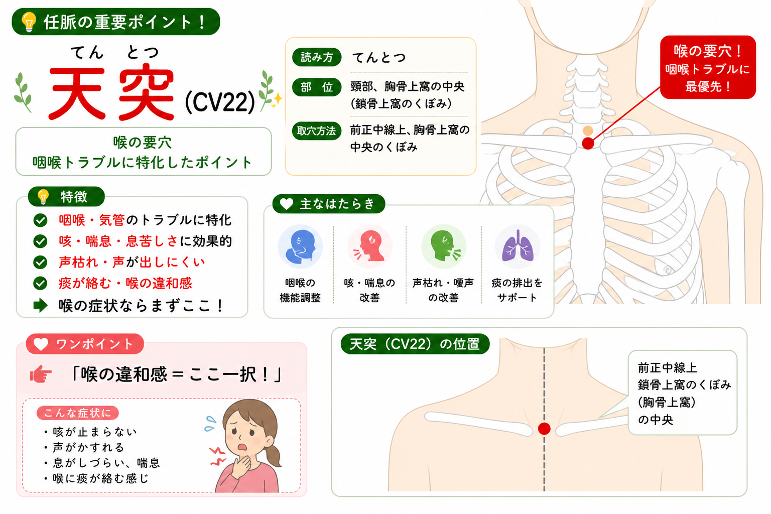 天突（CV22）＝前正中線上、胸骨上窩の中央のくぼみ。喉の要穴