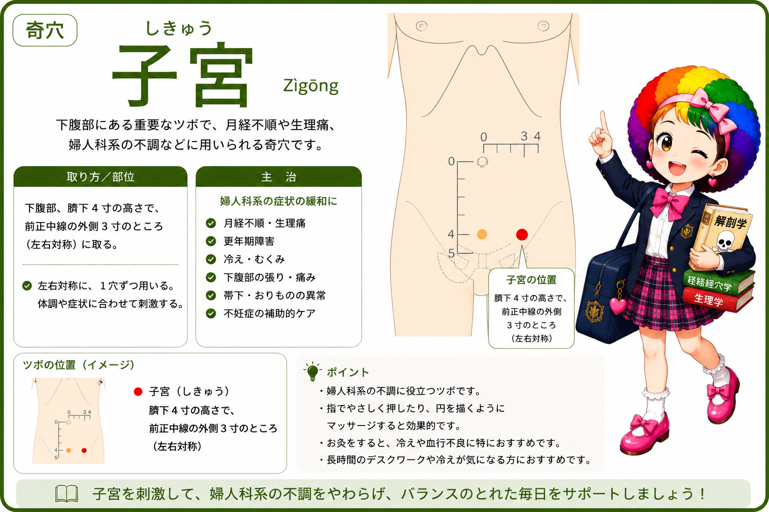 子宮（しきゅう）＝臍下4寸の高さで、前正中線の外側3寸のところ（左右対称）