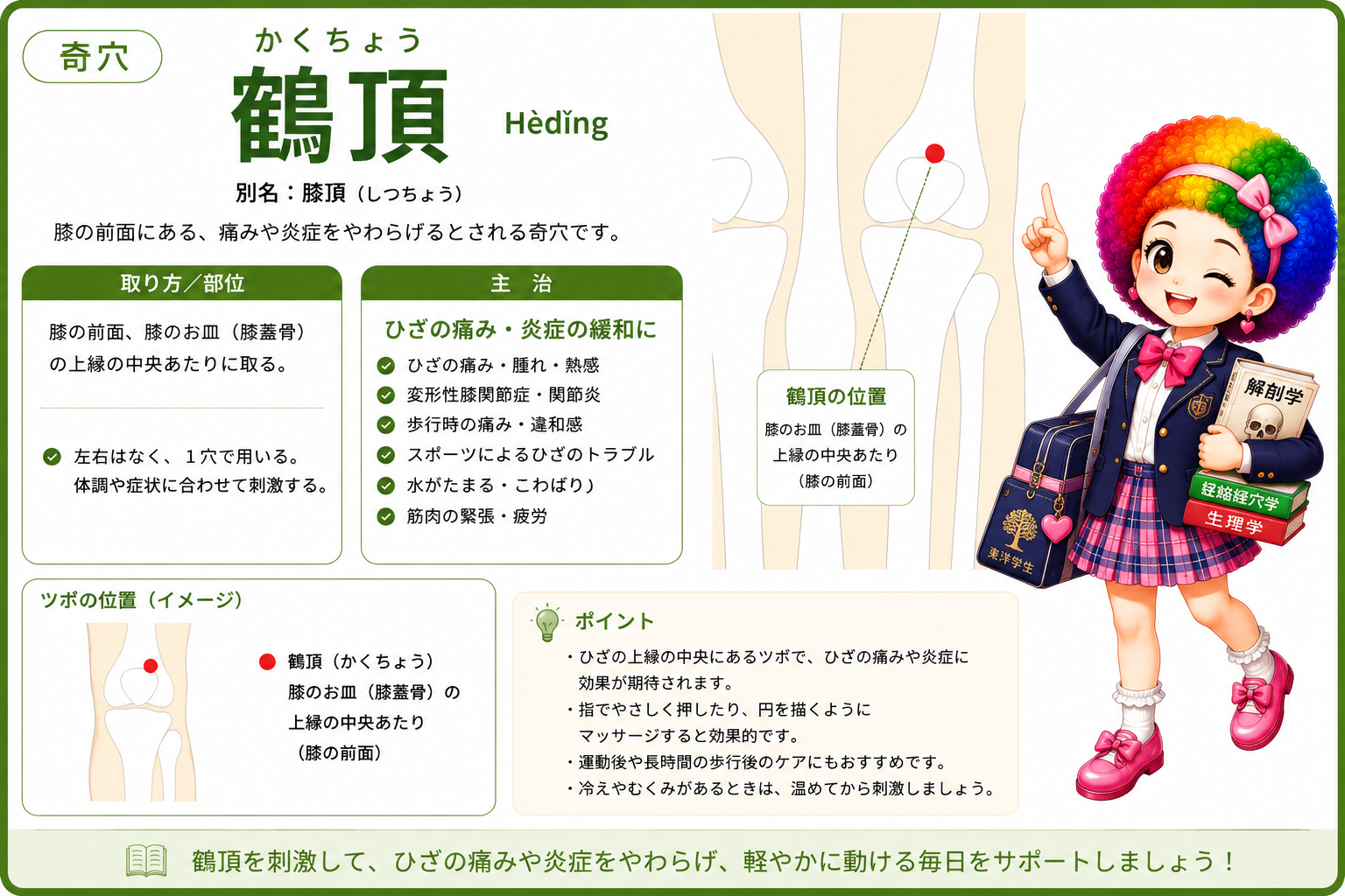 鶴頂（かくちょう）＝膝の前面、膝蓋骨の上縁の中央あたり