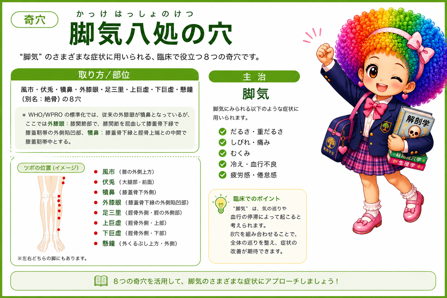 脚気八処の穴＝風市・伏兎・犢鼻・外膝眼・足三里・上巨虚・下巨虚・懸鍾（絶骨）の8穴