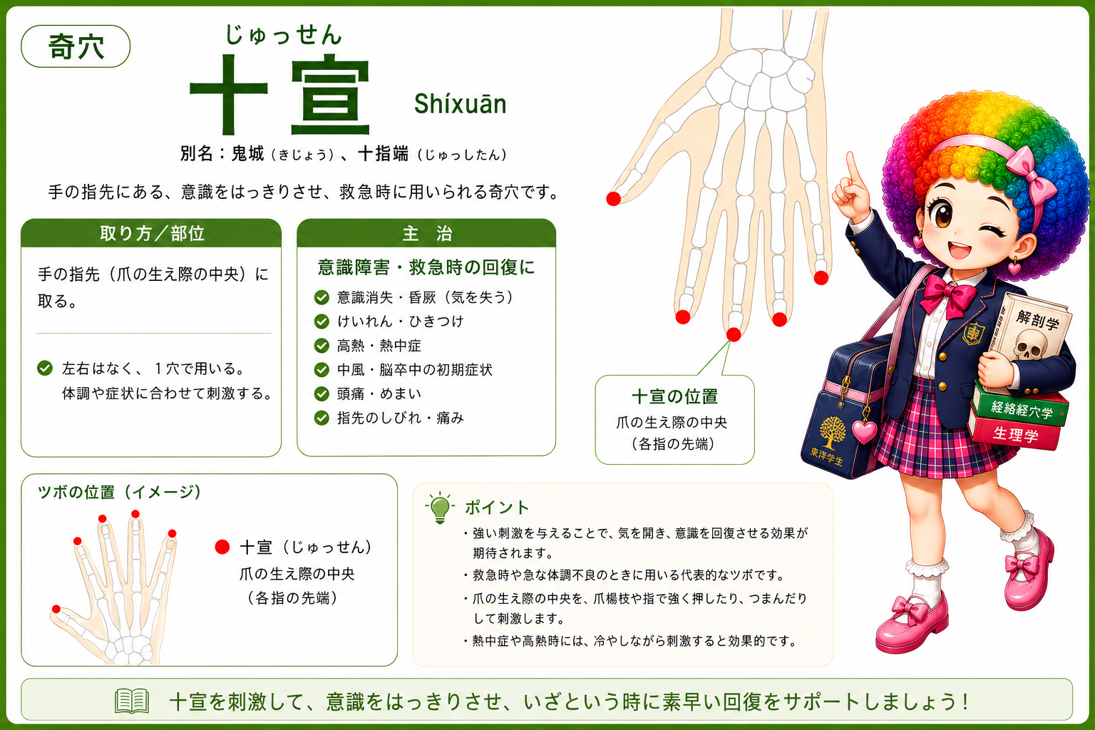 十宣（じゅっせん）＝手の指先、爪の生え際の中央（各指の先端）。意識障害・救急時に用いる