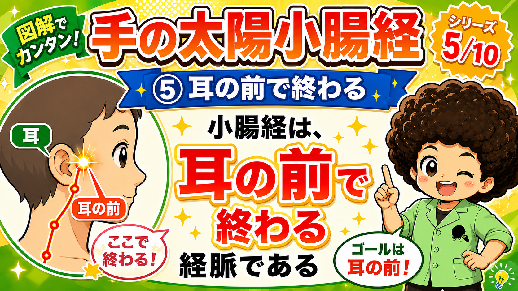 小腸経のゴールは耳の前。終止穴は聴宮（SI19）