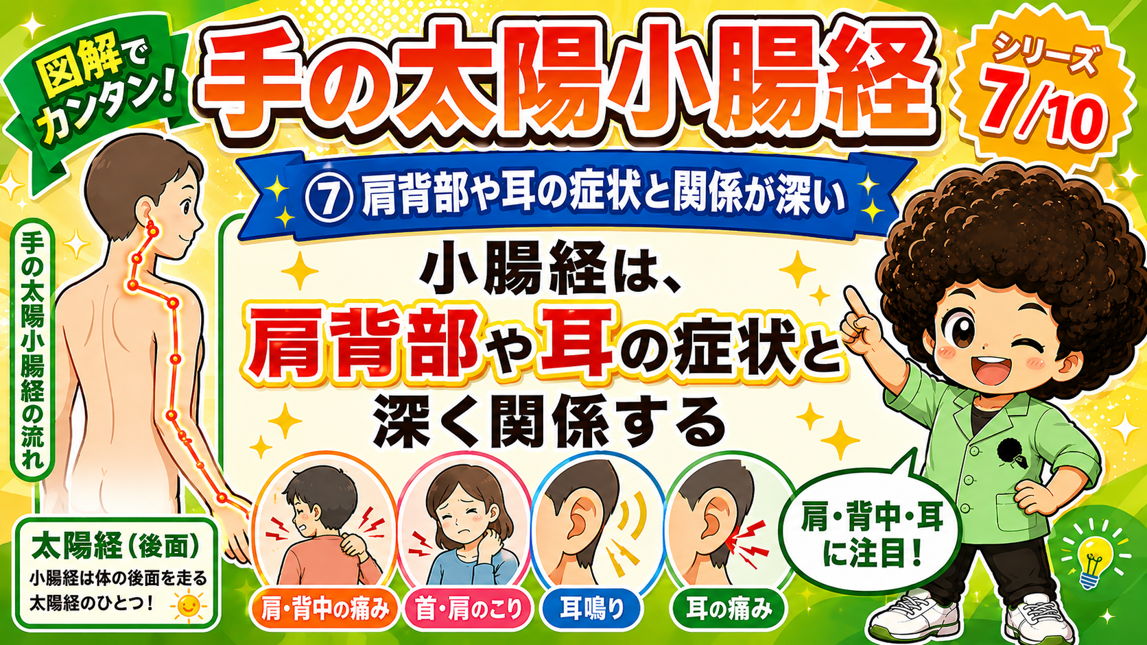 肩・背中の痛み、首・肩のこり、耳鳴り、耳の痛みと関係が深い