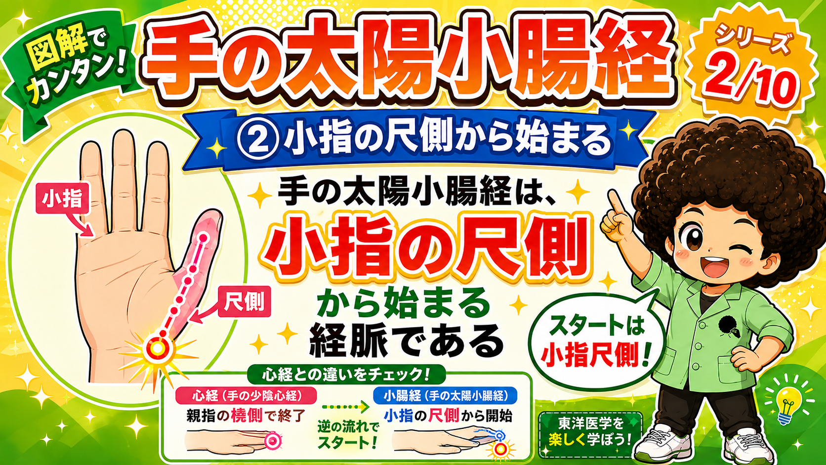 スタートは小指尺側。心経は親指の橈側で終了し、小腸経は小指の尺側から開始する