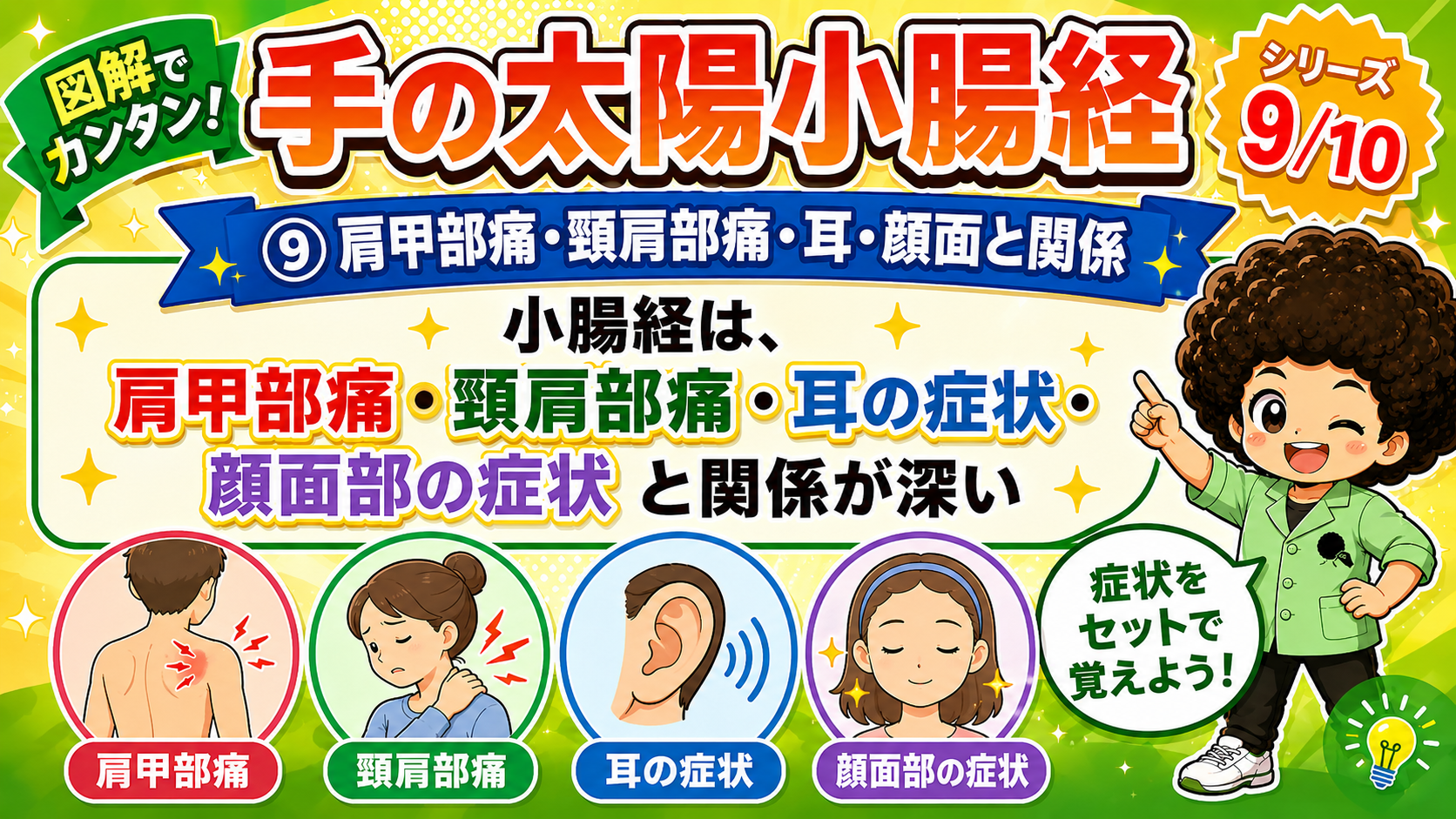 肩甲部痛・頸肩部痛・耳の症状・顔面部の症状と関係が深い