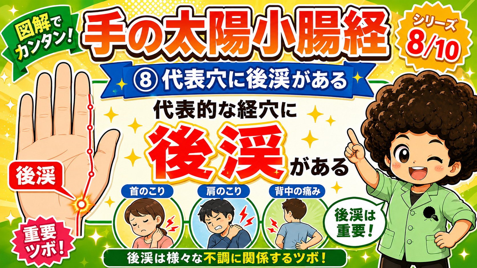 代表穴は後渓（SI3）。首のこり・肩のこり・背中の痛みに関係する重要穴