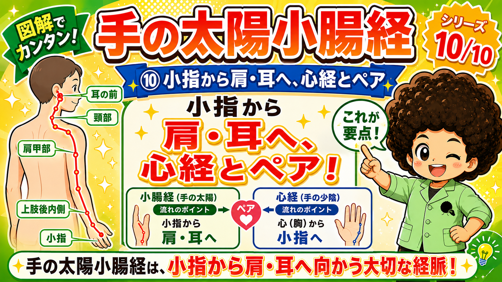 小指 → 上肢後内側 → 肩甲部 → 頸部 → 耳の前。心経とペアで流れが逆になる