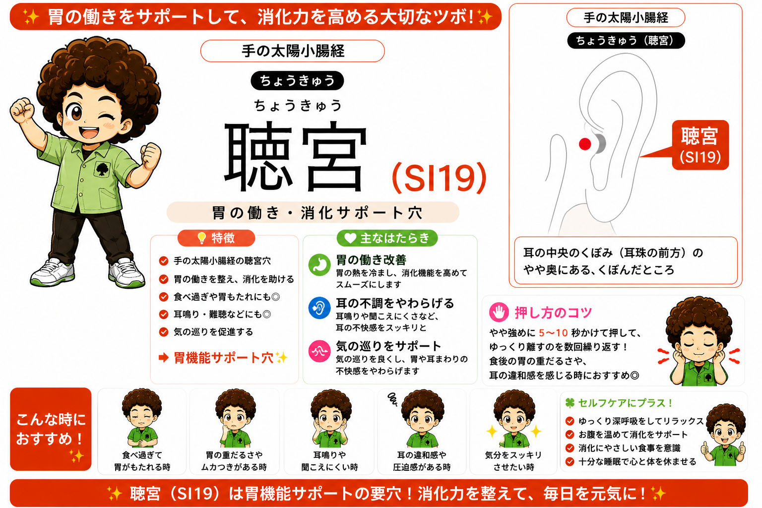 聴宮（SI19）は小腸経の終止穴。耳の中央のくぼみ（耳珠の前方）のやや奥