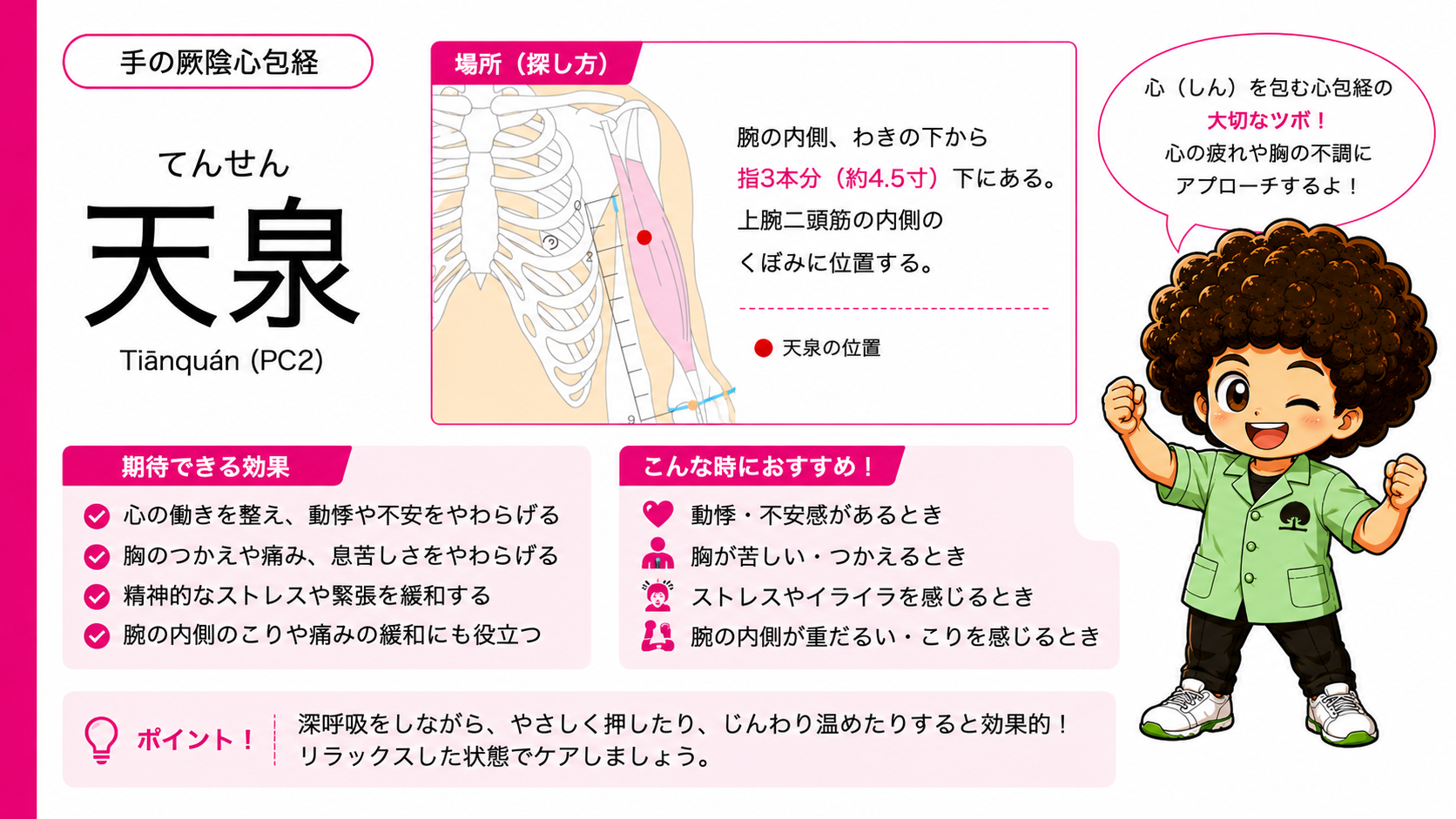 天泉（PC2）－ わきの下から指3本分（約4.5寸）下、上腕二頭筋の内側のくぼみ