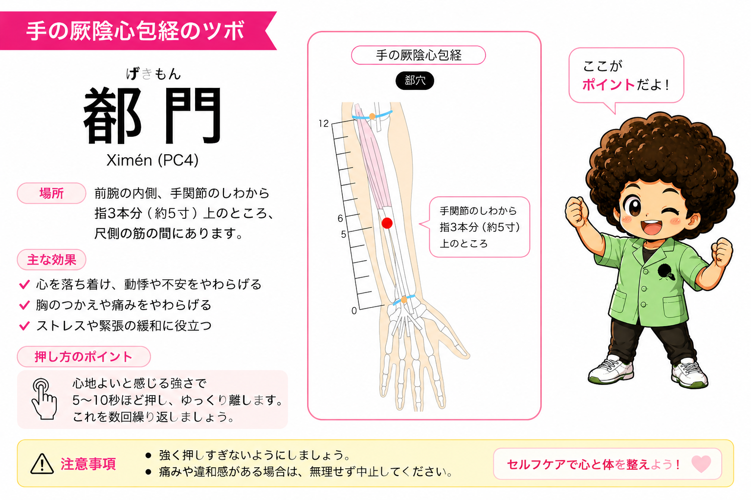 郄門（PC4・郄穴）－ 前腕内側、手関節のしわから上、尺側の筋の間（図の目盛り5）