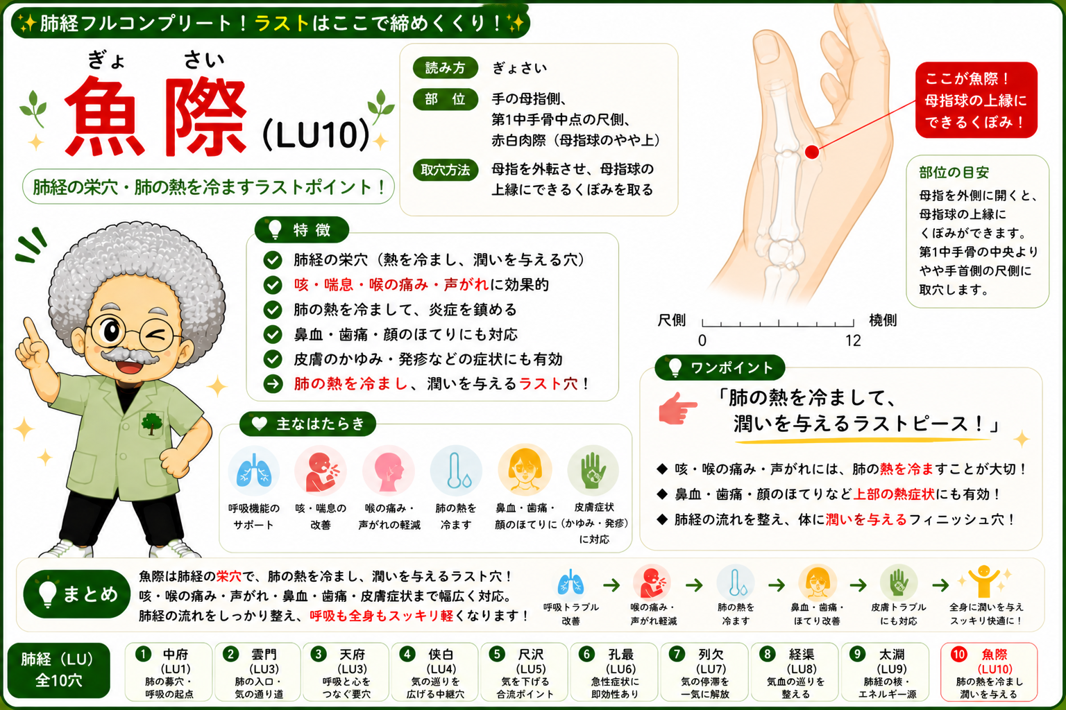 手の太陰肺経｜手の太陰肺経 1