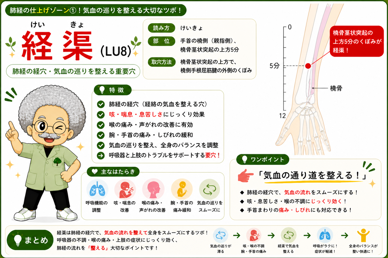 尺沢（LU5）は肘を曲げたときの肘横紋の外側にできるくぼみ