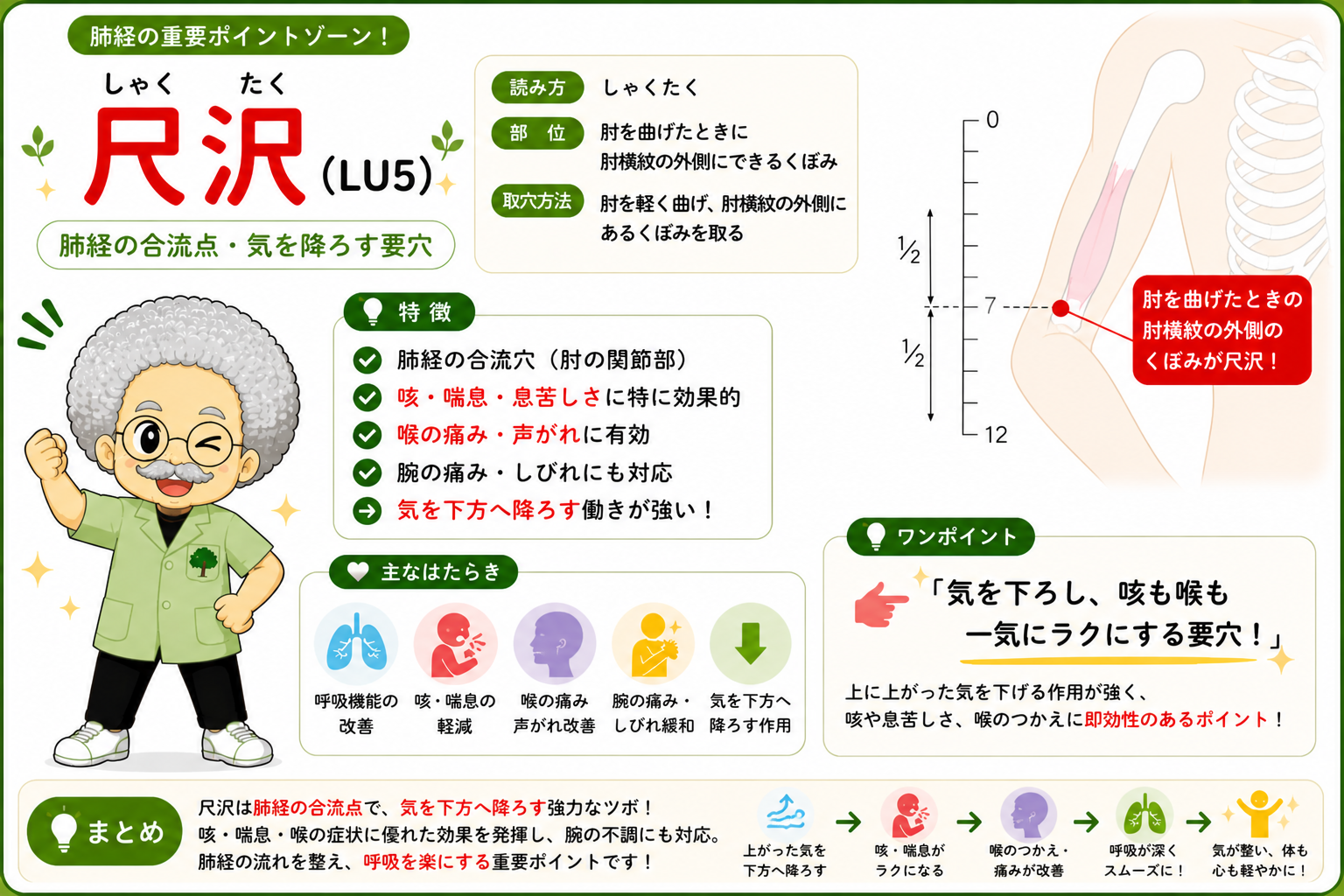 列欠（LU7）は手首の横じわから1.5寸上、橈骨のくぼみ