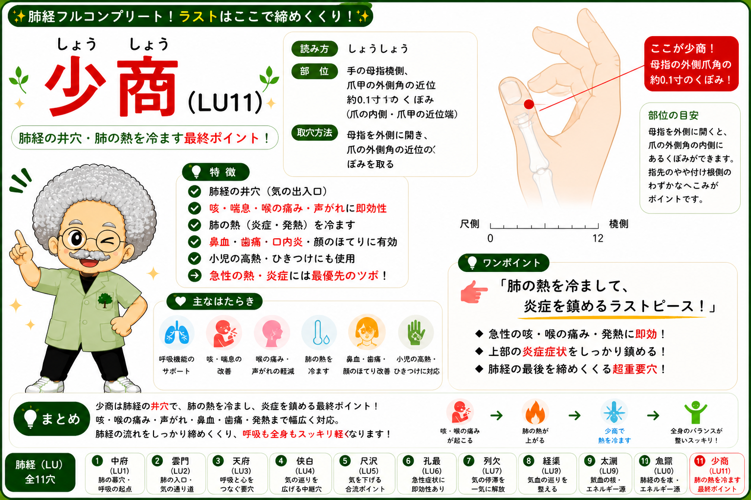 太淵（LU9）は橈骨茎状突起のすぐ下、橈側手根屈筋腱の外側のくぼみ