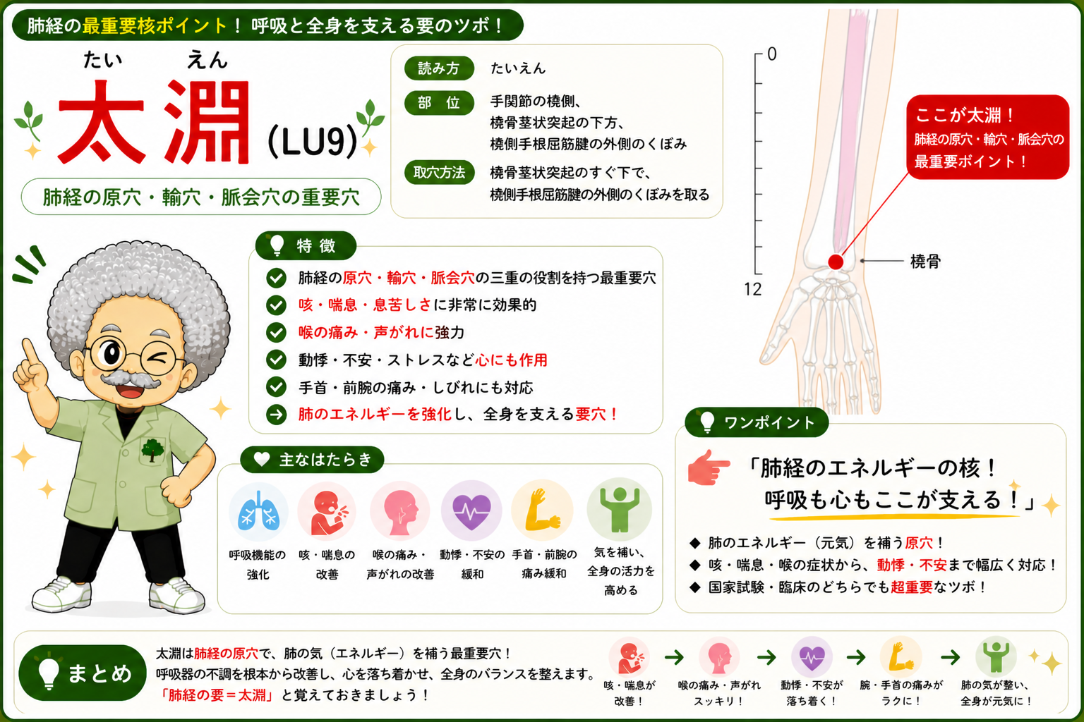 肺経（LU）全11穴。中府（LU1）から少商（LU11）までの流れ