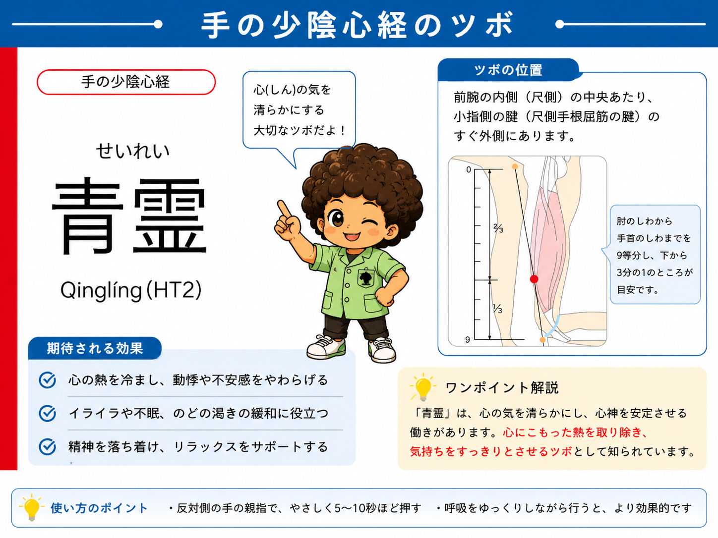 青霊（HT2）：肘のしわ〜手首のしわを9等分し、下から3分の1