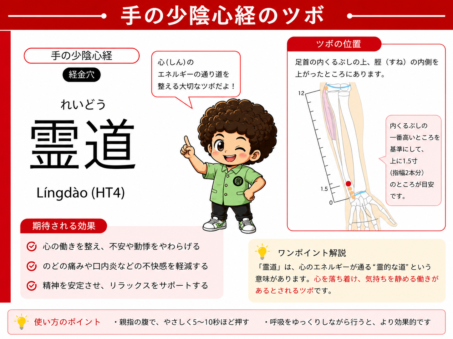 霊道（HT4）：手首のしわから上に1.5寸（指幅2本分）
