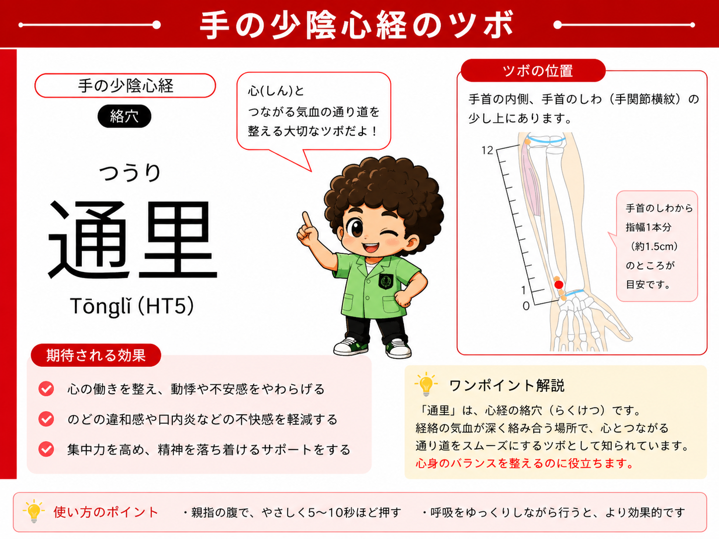 通里（HT5）：手首のしわから指幅1本分（約1.5cm）上
