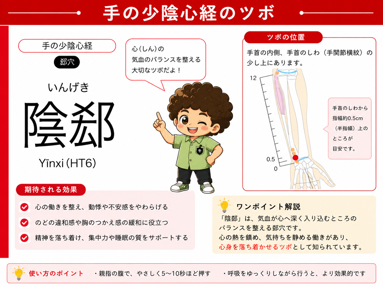 陰郄（HT6）：手首のしわから約0.5cm（半指幅）上
