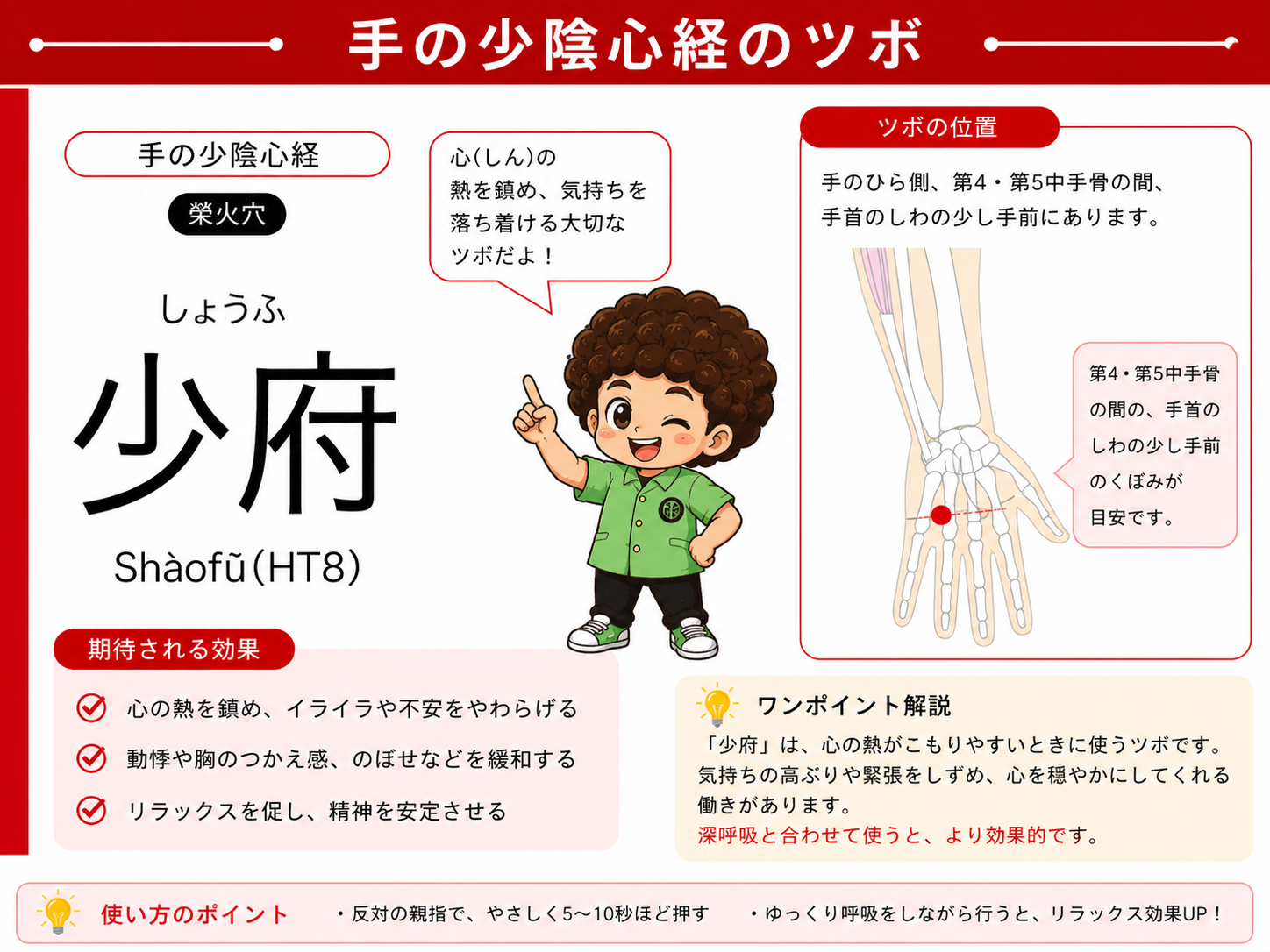 少府（HT8）：第4・第5中手骨の間、手のひら側のくぼみ