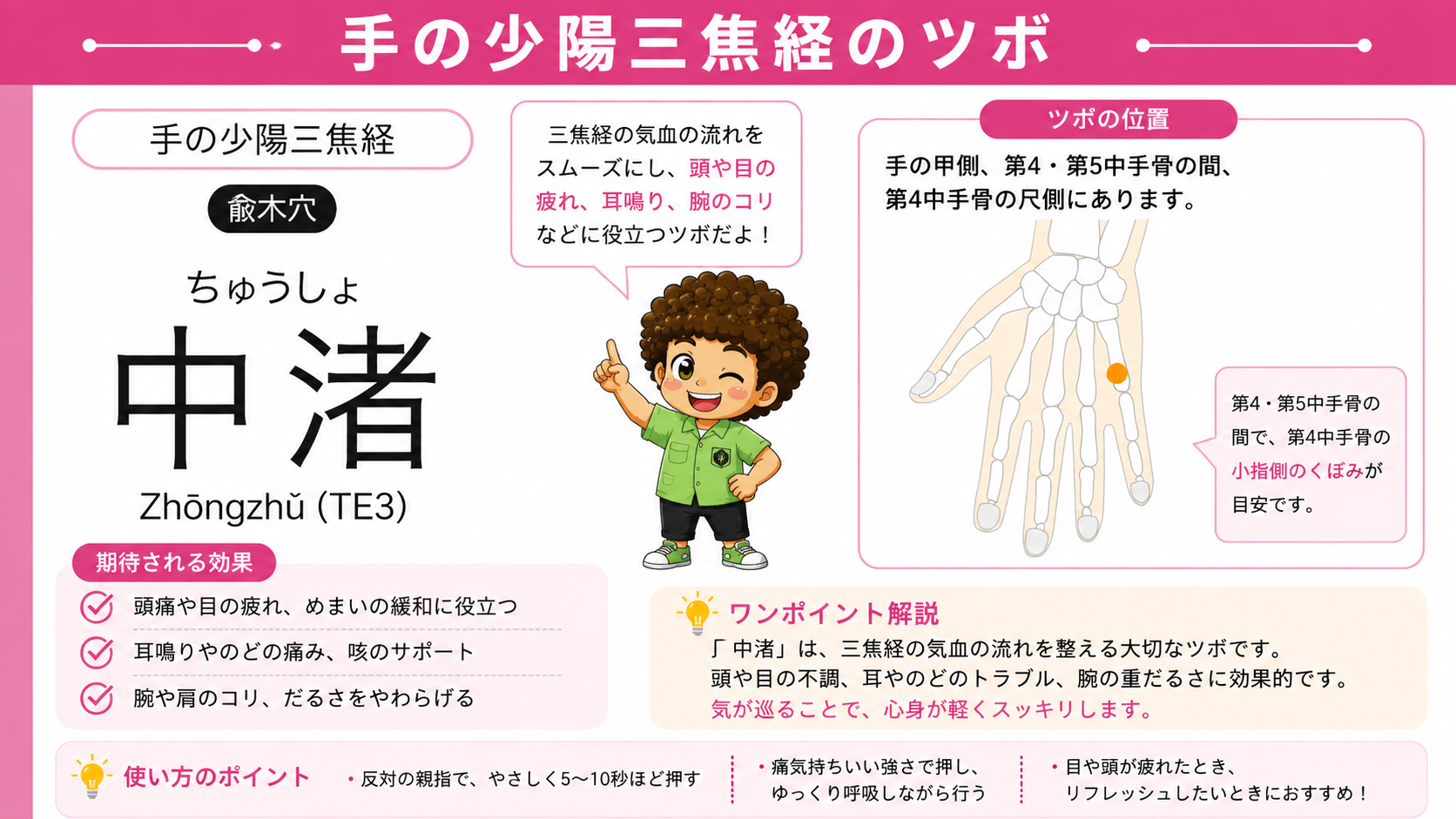 中渚（TE3）は第4・第5中手骨の間、第4中手骨の尺側にある兪木穴