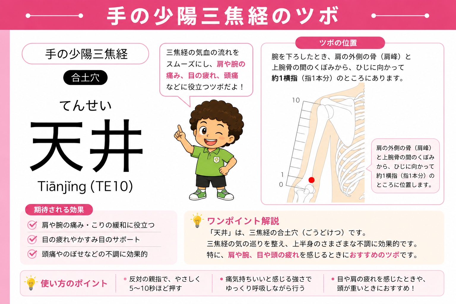 天井（TE10）は肩峰と上腕骨の間のくぼみから、ひじに向かって約1横指のところ