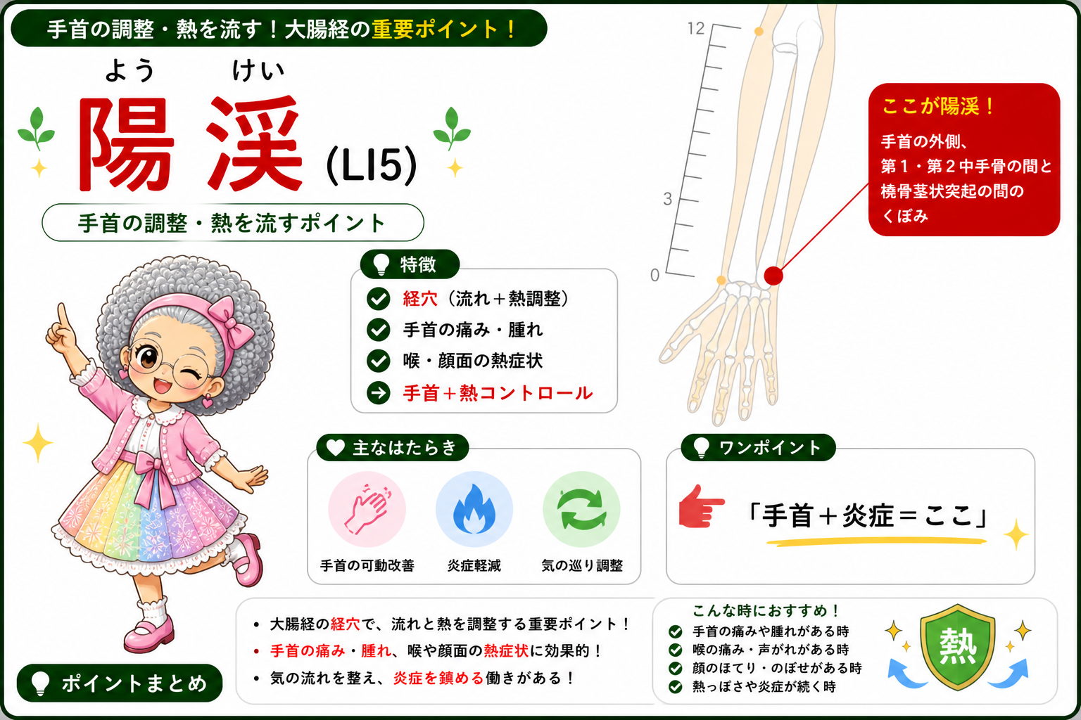 陽渓（LI5）＝手首の外側、第1・第2中手骨の間と橈骨茎状突起の間のくぼみ。前腕の穴の基準点になる