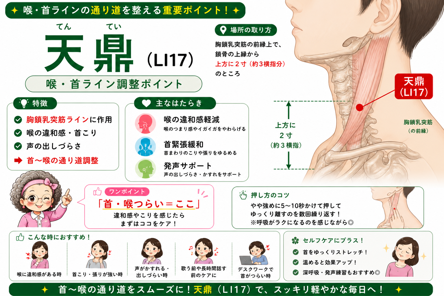 天鼎（LI17）＝胸鎖乳突筋の前縁上、鎖骨上縁から上方2寸（約3横指分）
