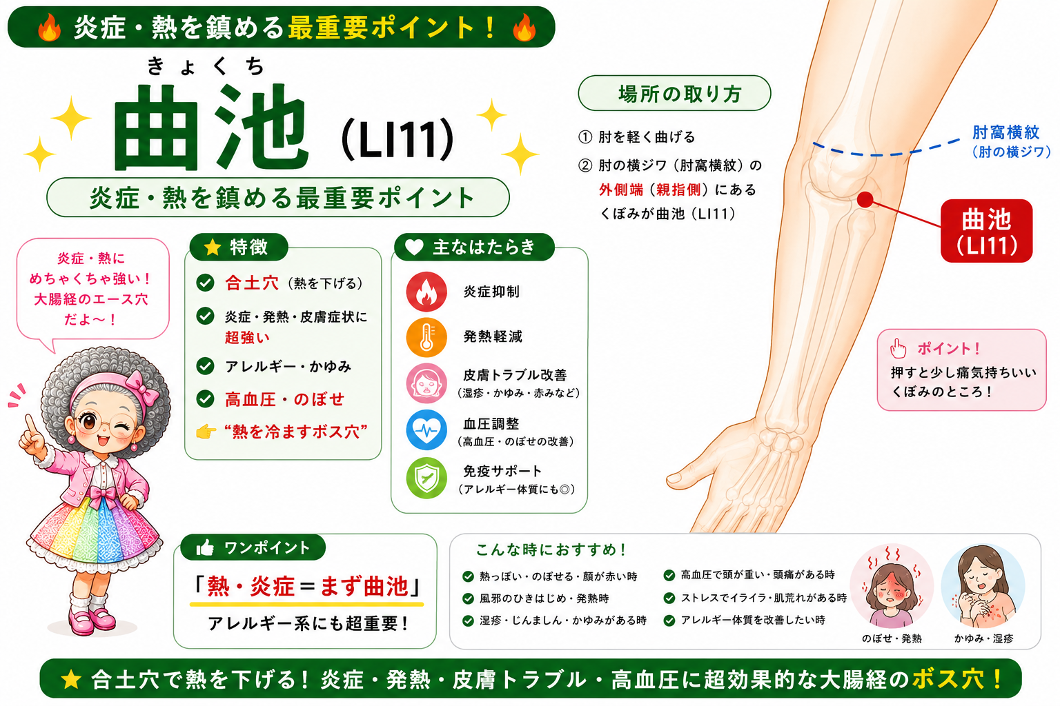 曲池（LI11）＝肘窩横紋の外側端のくぼみ。合土穴で熱を下げる、大腸経のボス穴