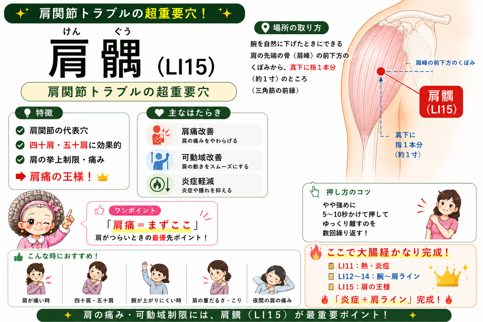 肩髃（LI15）＝肩峰の前下方のくぼみから真下に約1寸（三角筋の前縁）。肩関節トラブルの超重要穴