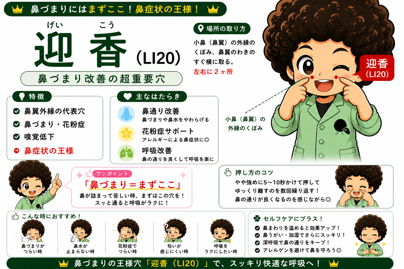迎香（LI20）＝小鼻（鼻翼）の外縁のくぼみ。大腸経の終わりで、鼻づまり改善の超重要穴