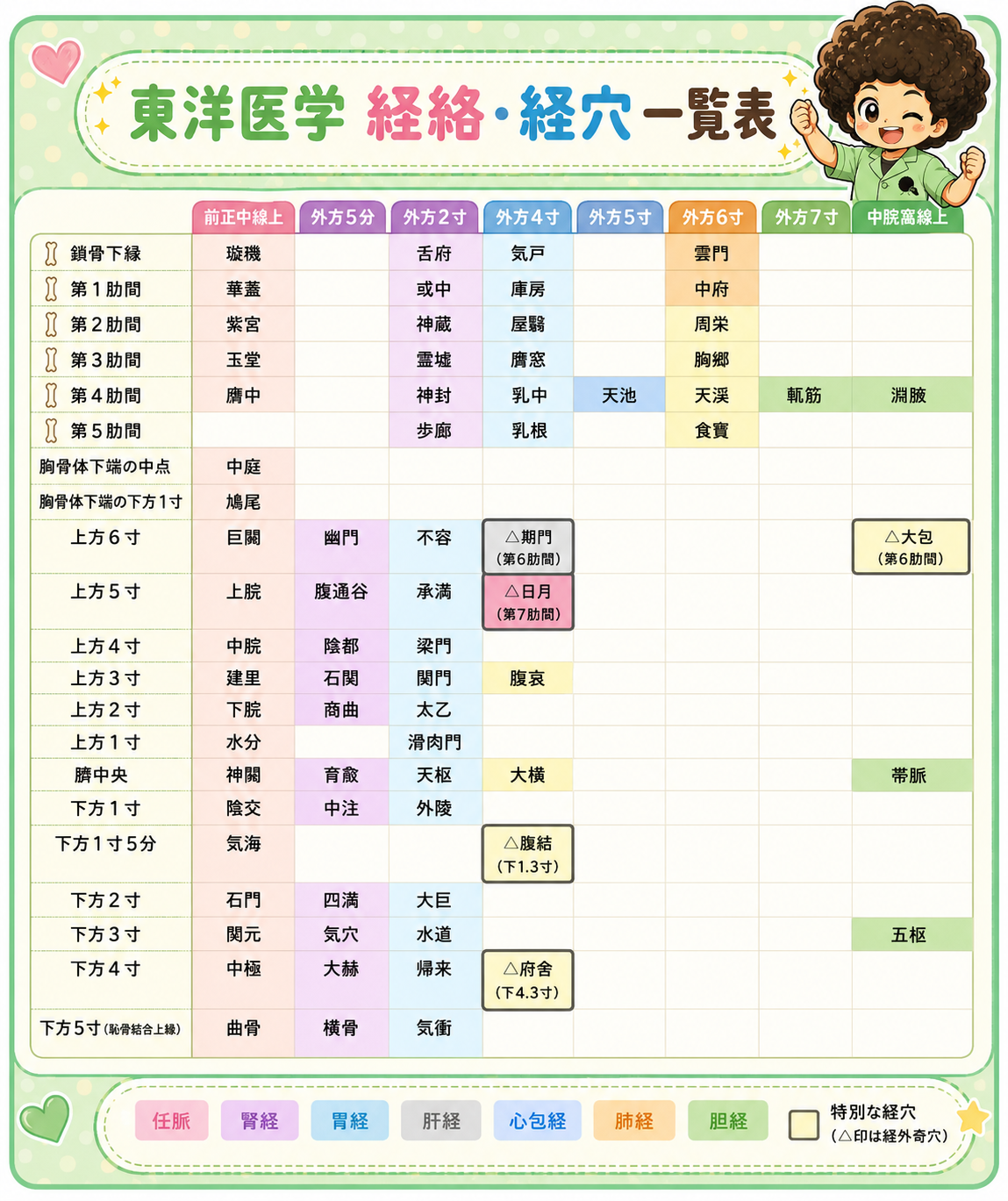 東洋医学 経絡・経穴一覧表（胸腹部）。桃＝任脈、紫＝腎経、水色＝胃経、灰＝肝経、青＝心包経、橙＝肺経、緑＝胆経、淡黄＝特別な経穴（△印）。