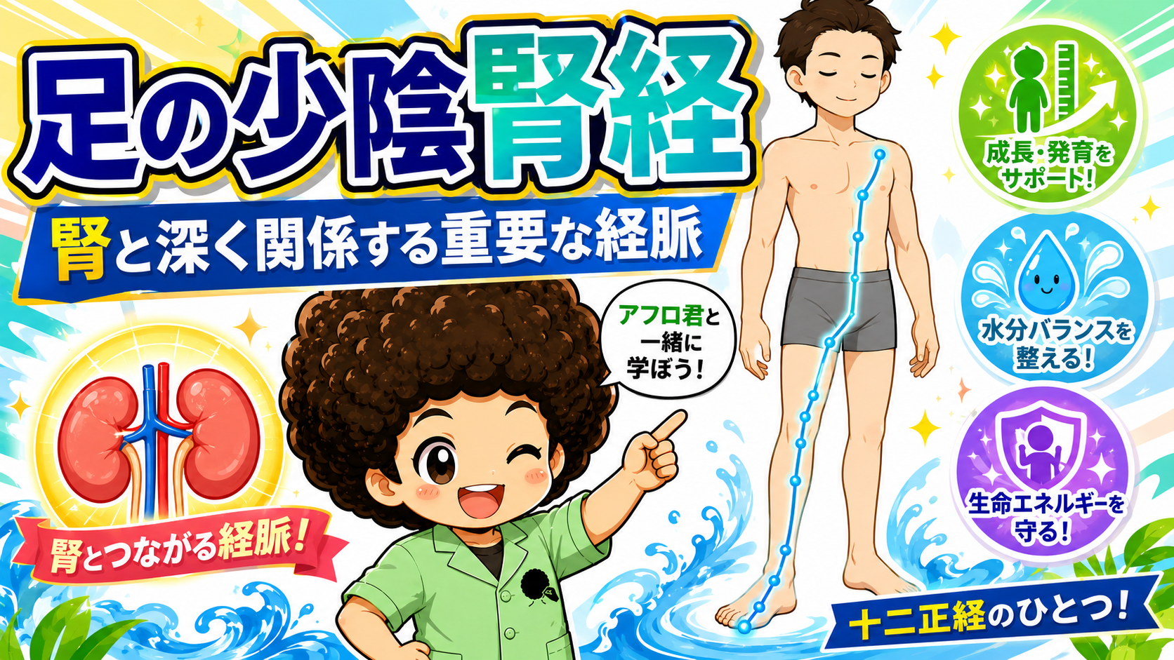足の少陰腎経は腎と深く関係する重要な経脈。十二正経のひとつ