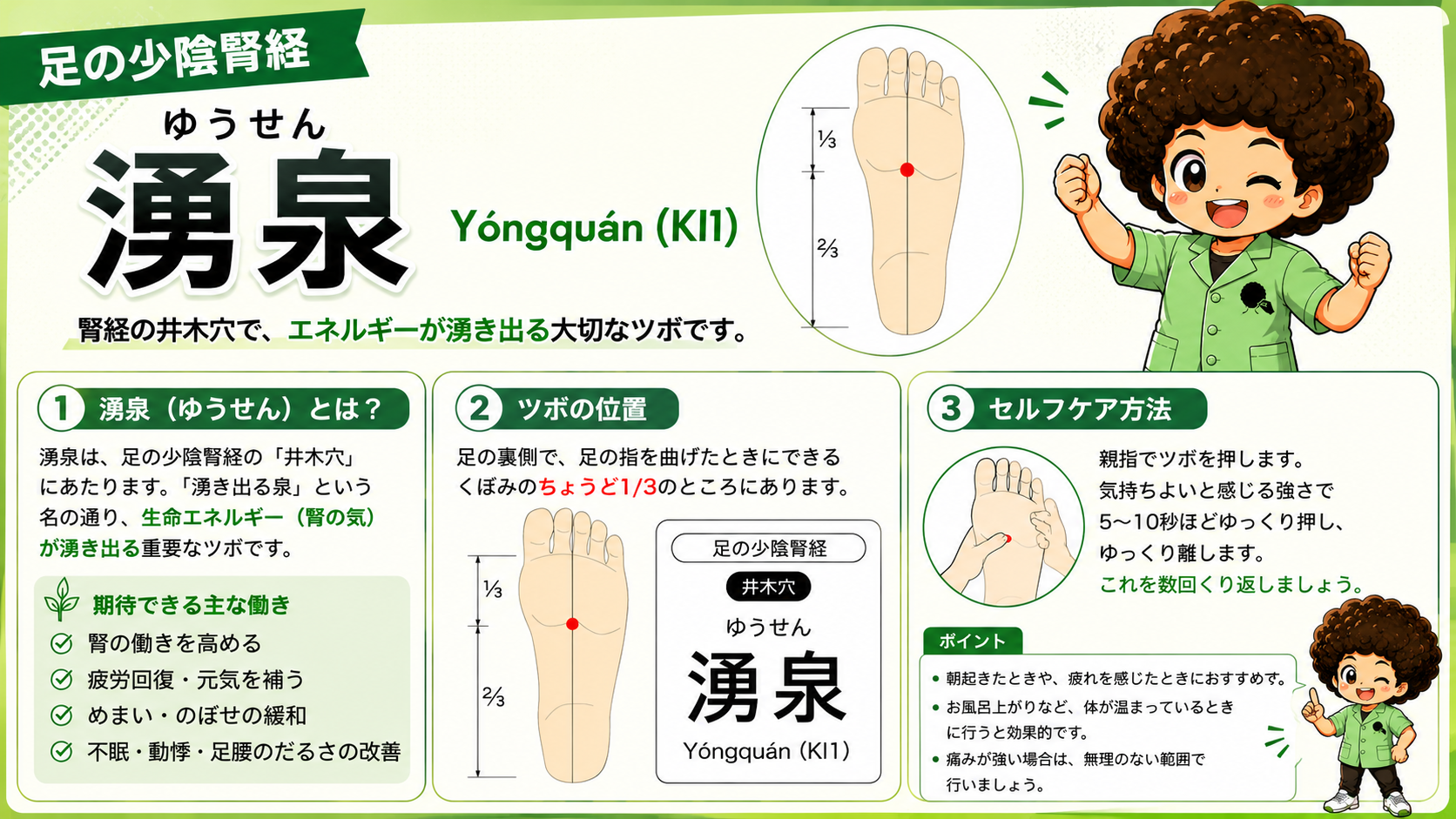 腎経の代表穴・湧泉（KI1）。足底の前1/3・後2/3の境にある井木穴