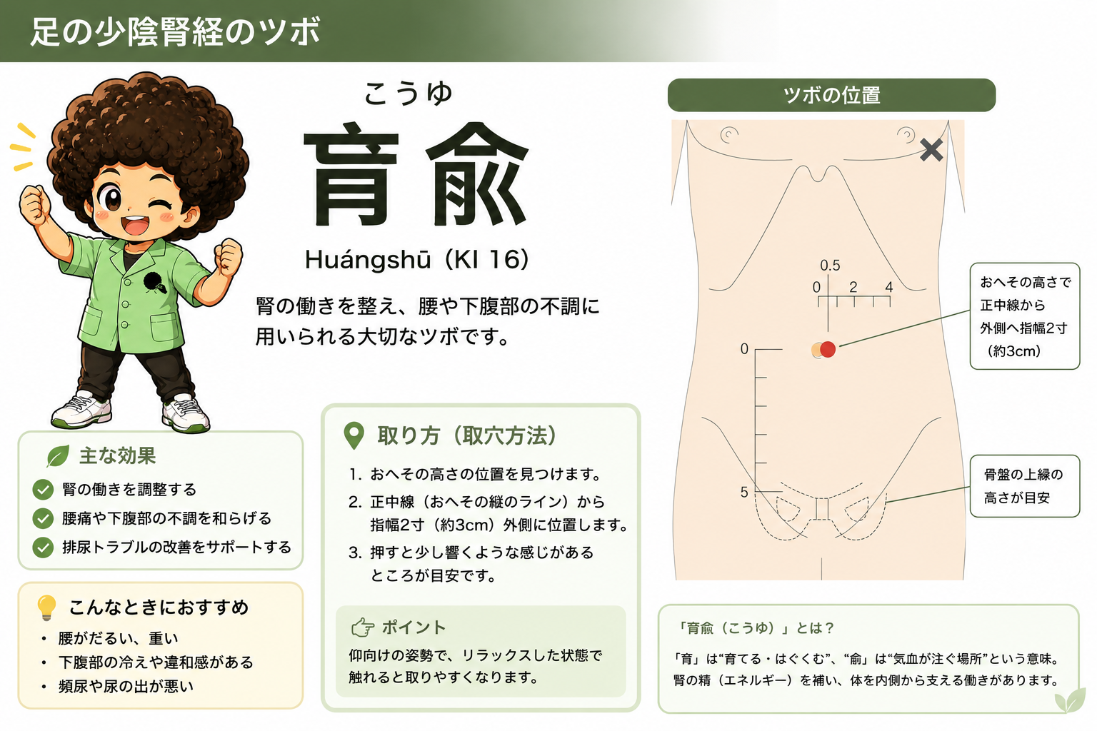 肓兪（KI16）はおへその高さで正中線から外側へ2寸（約3cm）
