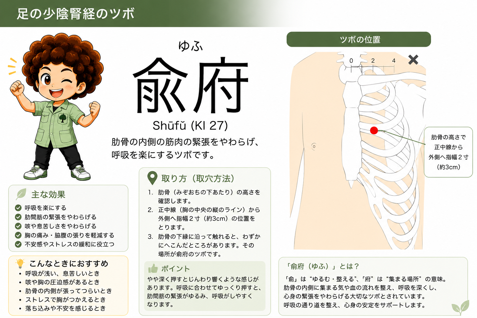 兪府（KI27）は腎経の最終穴。肋骨の高さで正中線から外側へ2寸