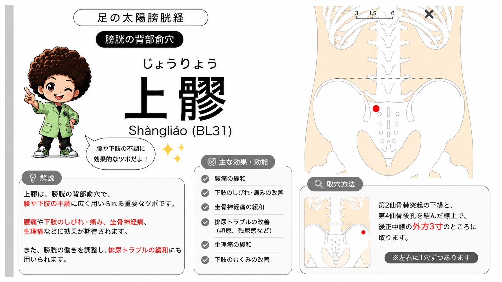 上髎（BL31）の位置。仙骨部のツボは左右に1穴ずつある