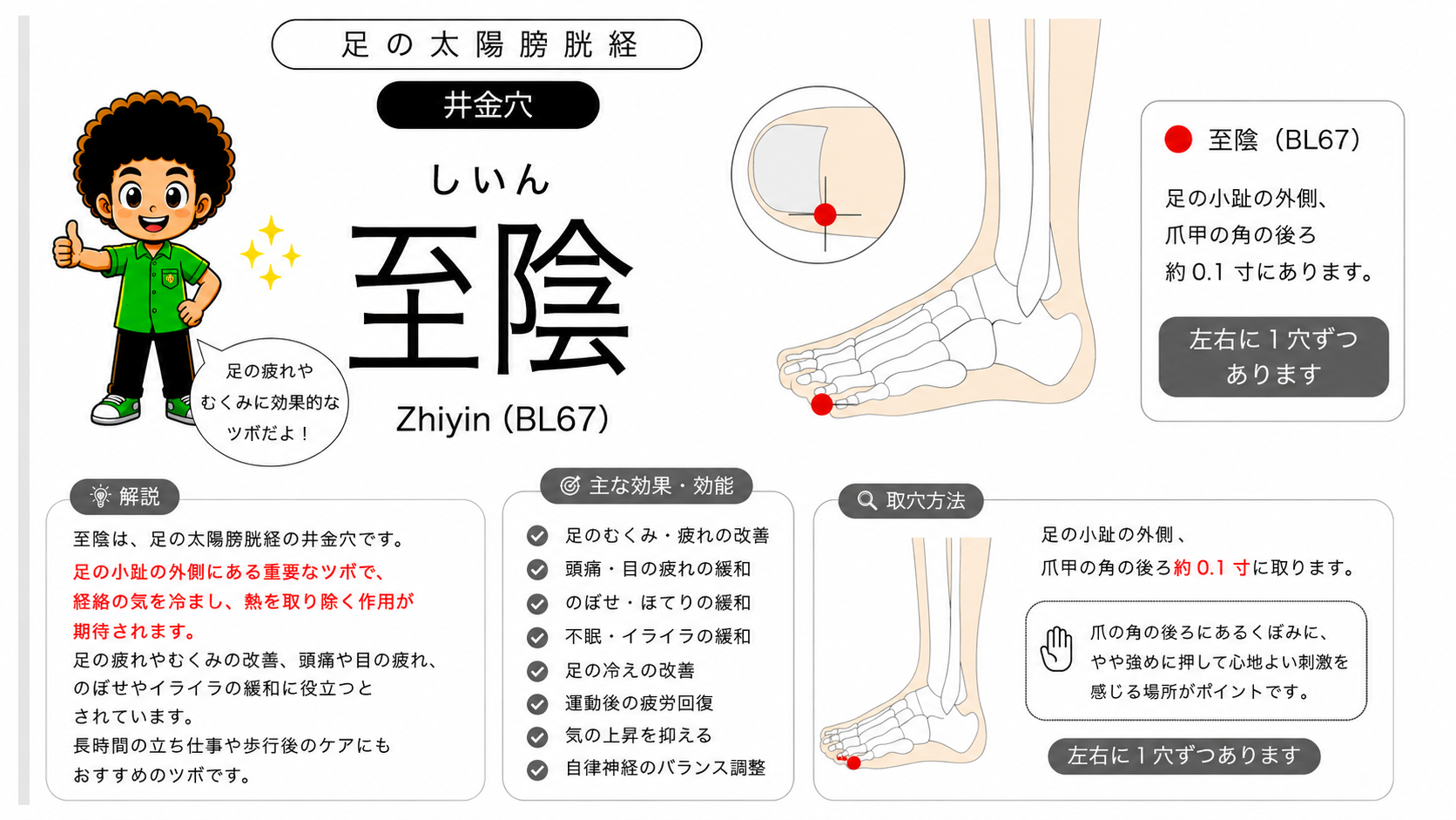 至陰（BL67）の位置。足の小趾外側、爪甲の角の後ろ約0.1寸（膀胱経の最終穴）