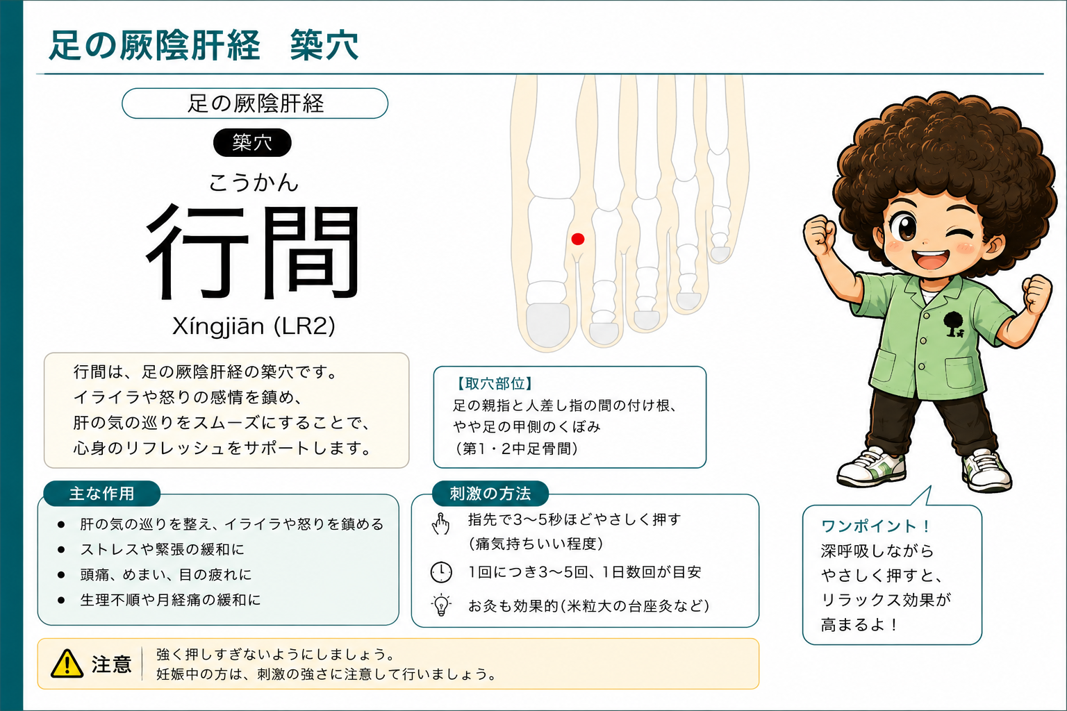 行間（LR2）— 第1・2中足骨間、足の親指と人差し指の間の付け根