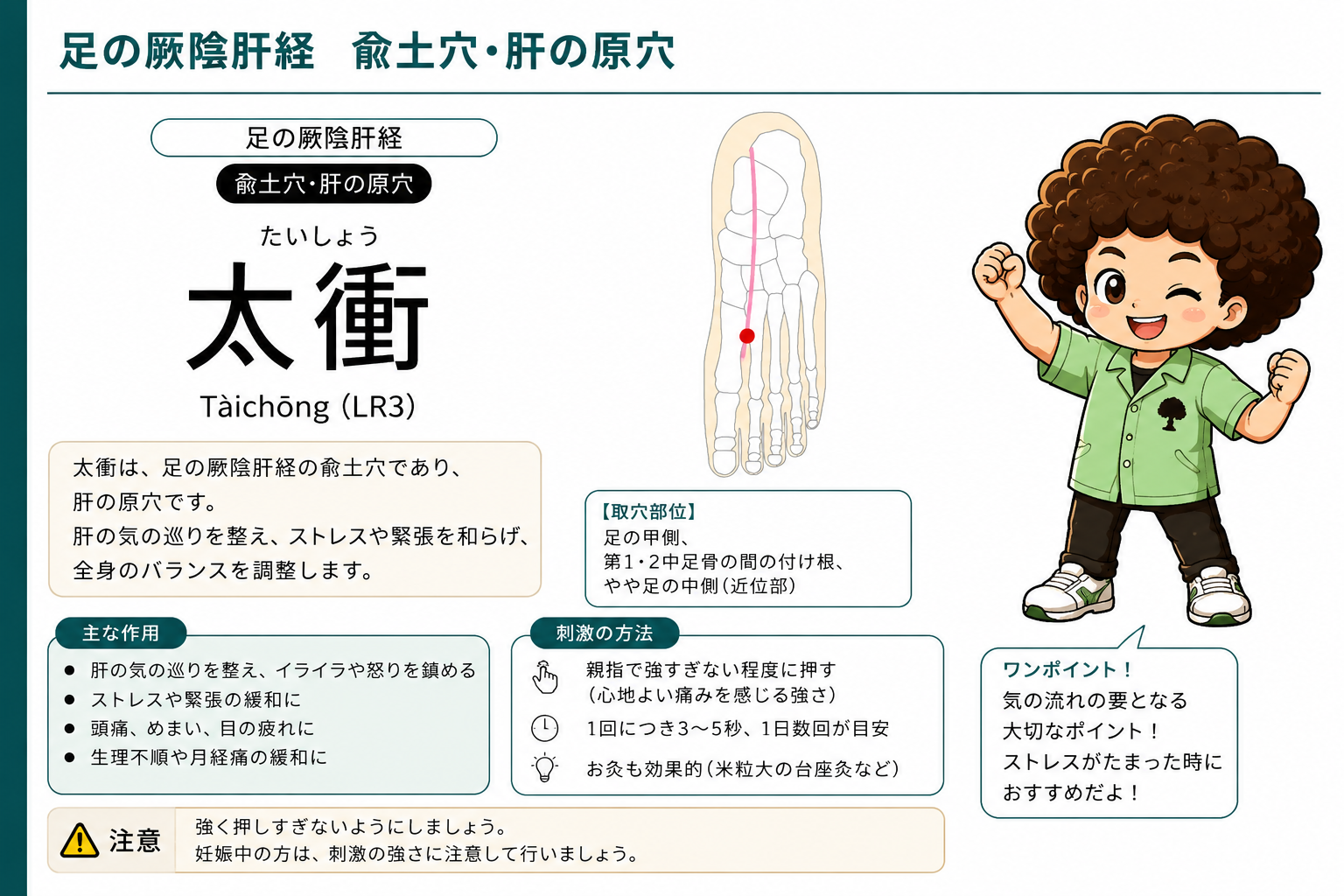 太衝（LR3）— 足背、第1・2中足骨間の付け根やや近位部。肝の原穴